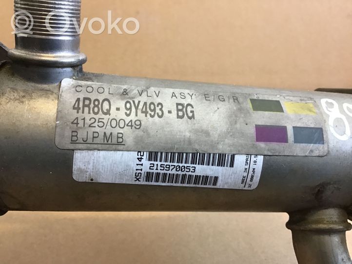 Alfa Romeo 145 - 146 EGR-venttiili/lauhdutin 4R8Q9Y493BG