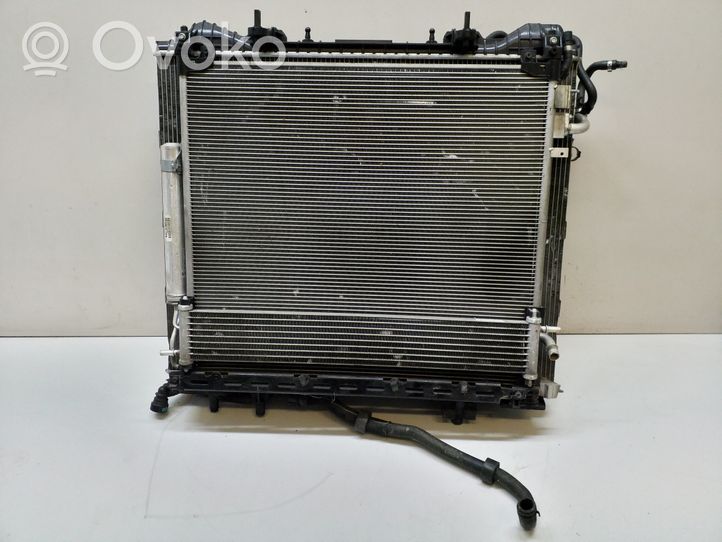 Land Rover Range Rover Sport L494 Kit Radiateur HPLA8C607DC