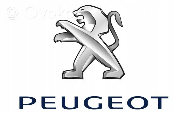 Peugeot 3008 II Listwa zderzaka przedniego 9810869977