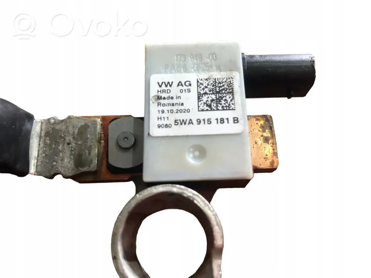 Volkswagen Golf VIII Câble négatif masse batterie 5WA915181B