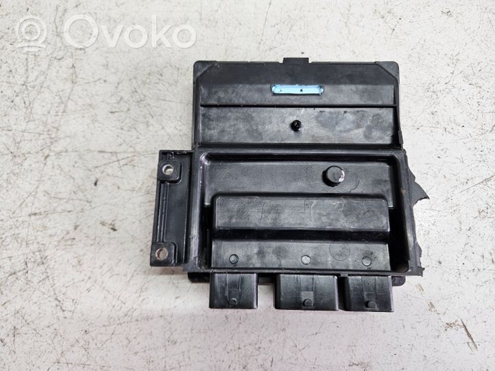 KIA Carnival Sterownik / Moduł ECU 391024X520