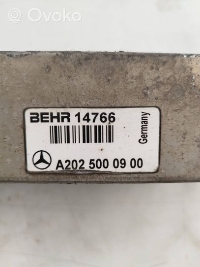 Mercedes-Benz CLK A208 C208 Chłodnica powietrza doładowującego / Intercooler A2025000900