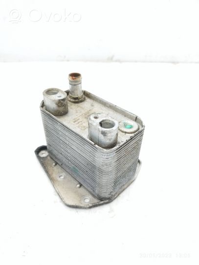 Mercedes-Benz E W210 Dzinēja eļļas radiators A6131880101