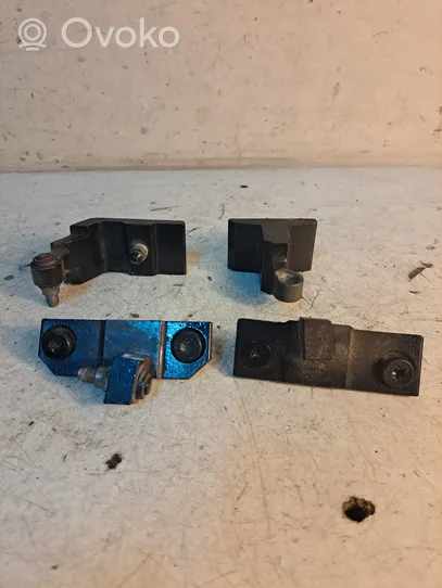 BMW X6 M Rear door hinge set 