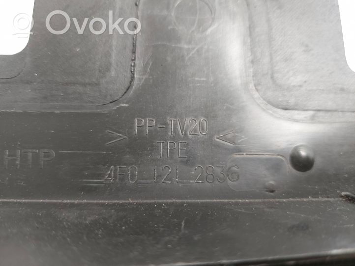 Audi A6 S6 C6 4F Radiatoru paneļa sānu daļa (televizors) 4F0121283G