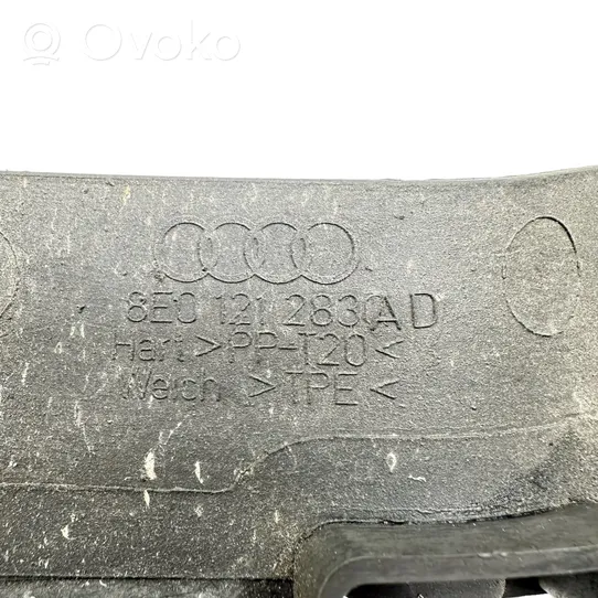 Audi A4 S4 B7 8E 8H Radiatoriaus oro nukreipėjas (-ai) 8E0121283AD