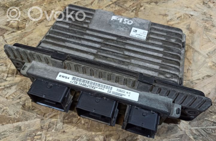 Ford F150 Variklio valdymo blokas CL3A12B684CAA