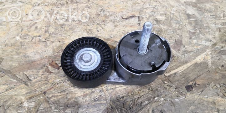 Chrysler Challenger Napinacz paska alternatora 999933