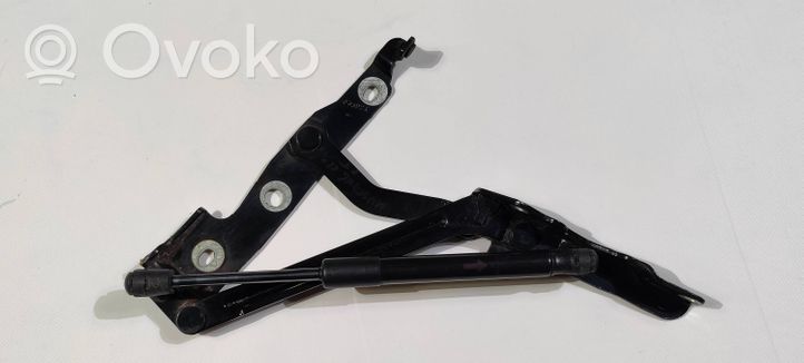 Ford Mustang V Tailgate/trunk/boot hinge 018N2AE816K