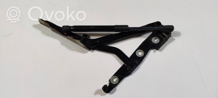 Ford Mustang V Tailgate/trunk/boot hinge 018N2AE816K