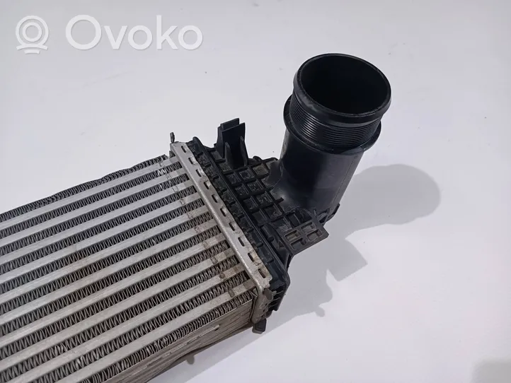 Ford Explorer Radiatore intercooler L1M36K775BD