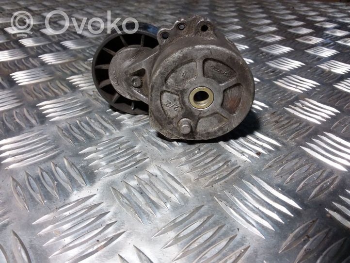 Citroen C5 Tendicinghia generatore/alternatore 