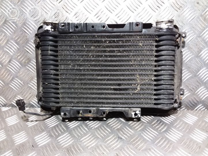 Hyundai Galloper Chłodnica powietrza doładowującego / Intercooler HR140101