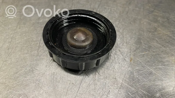 Renault Kangoo I Vase d'expansion / bouchon de réservoir de liquide de refroidissement 