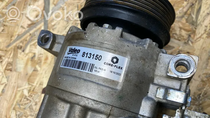 Audi A6 S6 C6 4F Compressore aria condizionata (A/C) (pompa) 813150