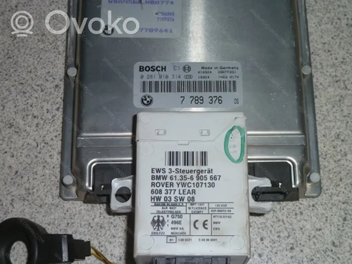 BMW X5 E53 Sterownik / Moduł ECU 13617790220