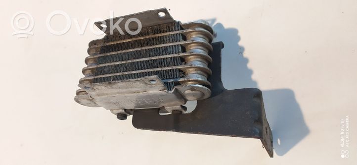 BMW 5 E39 Degvielas dzesētājs (radiators) 133222474113000