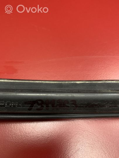 BMW X3 F25 Galinė sandarinimo guma (prie stiklo) 