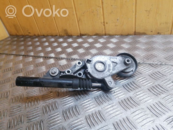 Volkswagen Bora Napinacz paska wielorowkowego / Alternatora 04343010002