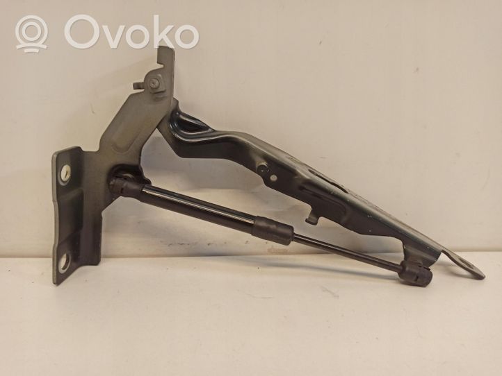 Volvo V60 Cerniere del vano motore/cofano 30799179