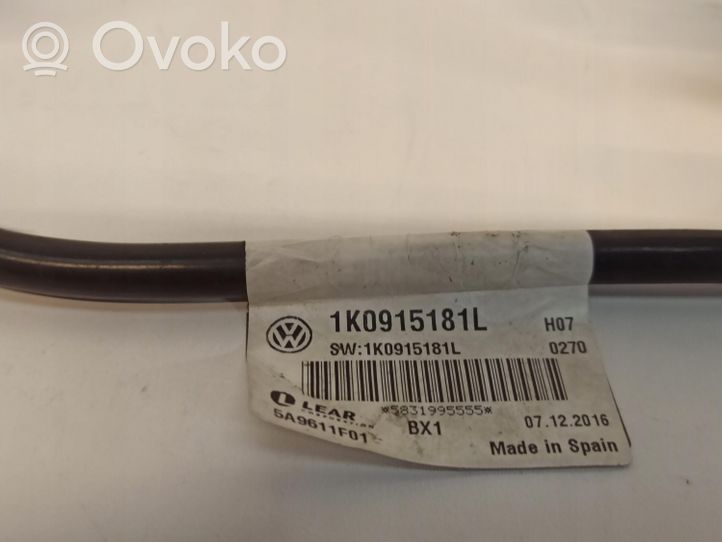 Skoda Yeti (5L) Cavo negativo messa a terra (batteria) 1K0915181L