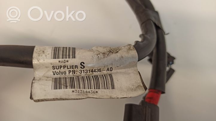 Volvo V40 Câble de batterie positif 31414436