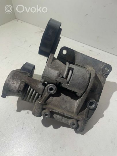 Volvo V50 Koło pasowe napinacza paska alternatora 8692808