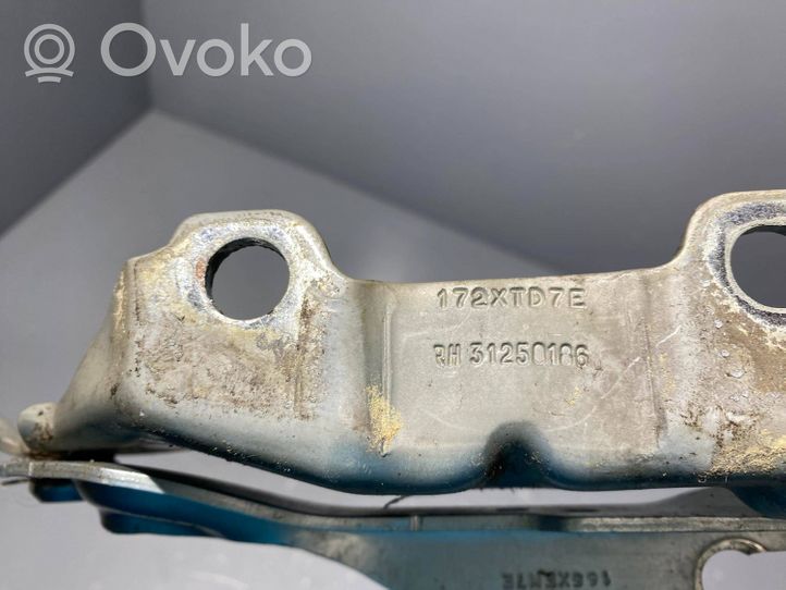 Volvo V70 Charnière, capot moteur 31250186