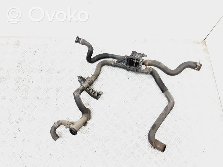 Citroen C4 I Termostatas/ termostato korpusas 9660660380