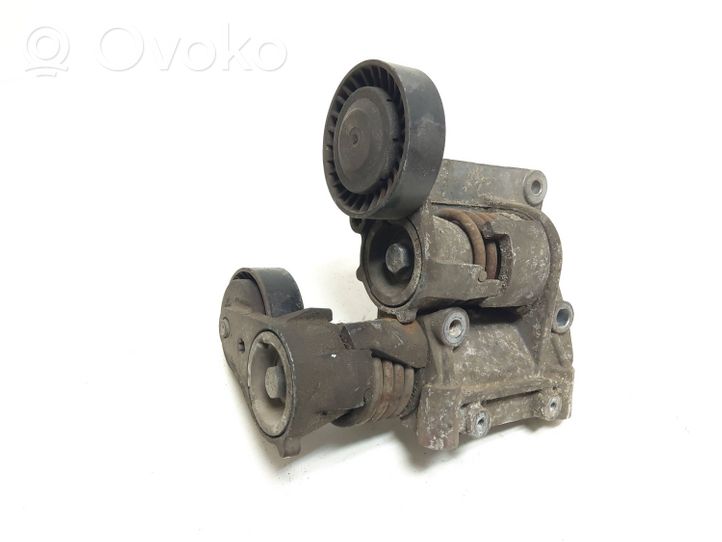 Volvo V50 Napinacz paska wielorowkowego / Alternatora 8692808