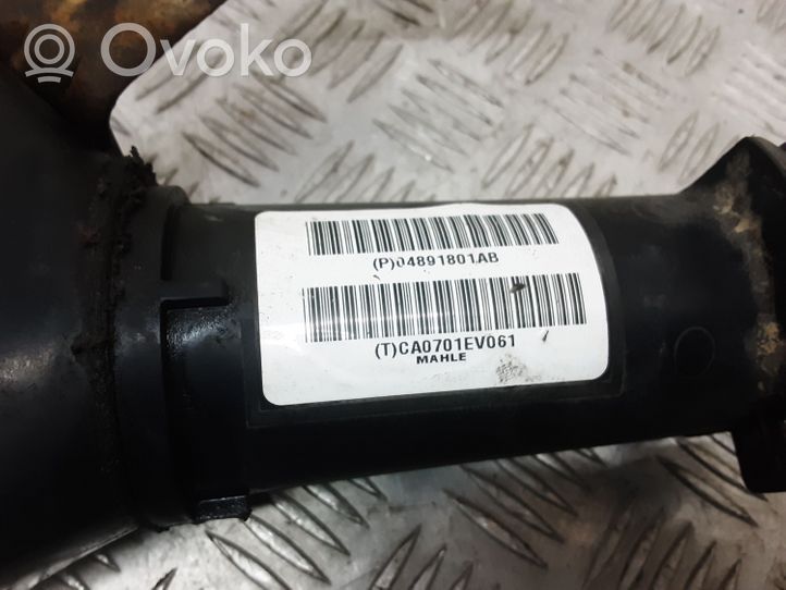 Dodge Grand Caravan Serbatoio a carbone attivo per il recupero vapori carburante 04891801AB