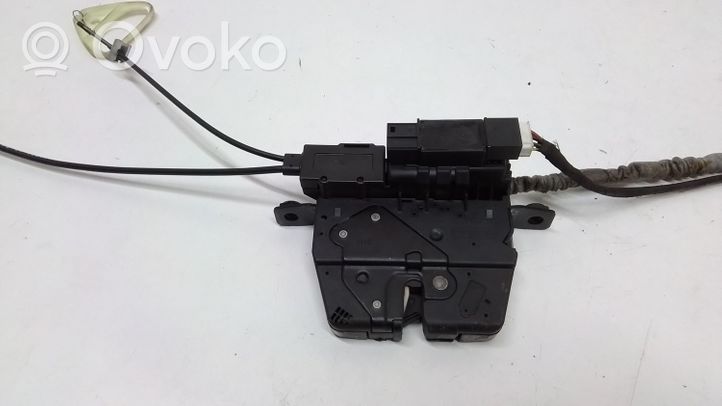 BMW 7 F01 F02 F03 F04 Siłownik elektryczny podnoszenia klapy tylnej / bagażnika 7191213