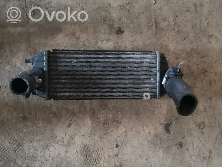 Hyundai ix35 Radiatore intercooler 282702A850