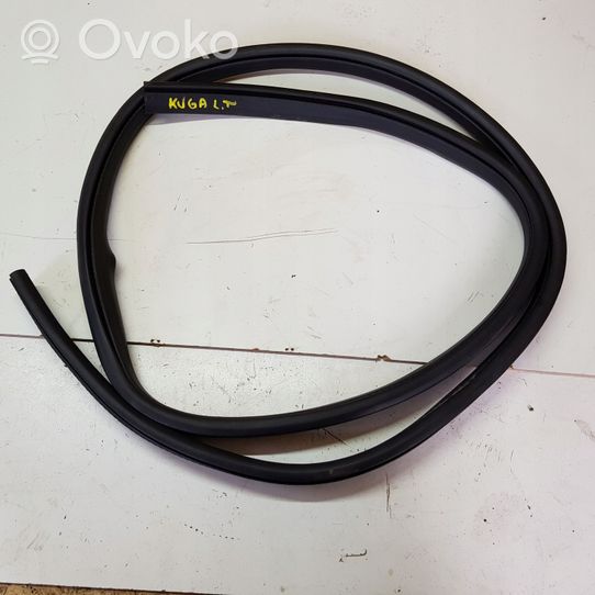 Ford Kuga II Rear door rubber seal (on body) 80809