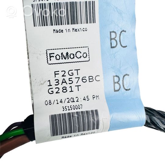 Ford Edge II Autres faisceaux de câbles F2GT13A576BC