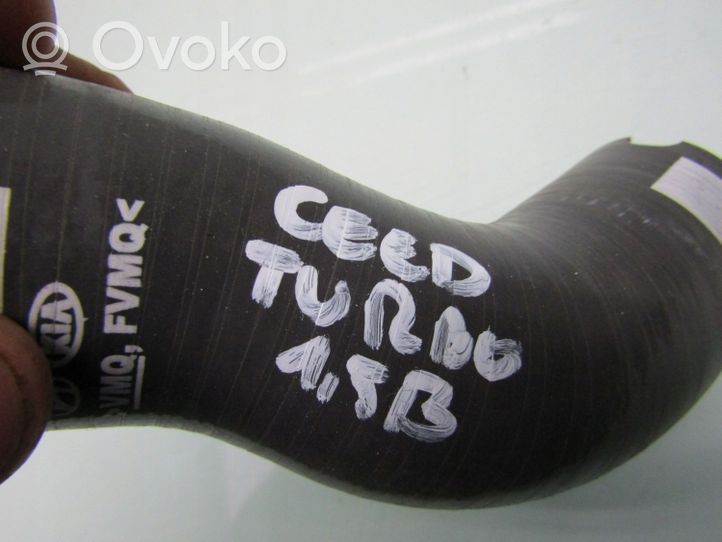 KIA Ceed Žarna (-os)/ vamzdis (-džiai) 2828308000