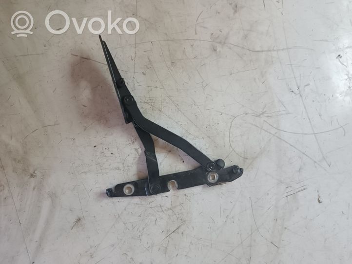 Seat Exeo (3R) Tailgate/trunk/boot hinge 8E5827302G