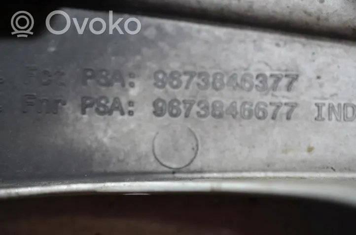 Peugeot 208 R 15 riteņa dekoratīvais disks (-i) 9673846377