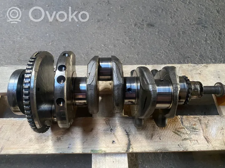 Volkswagen Polo IV 9N3 Crankshaft 045105189a