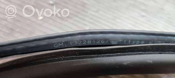 Opel Insignia A Front door rubber seal 132281267