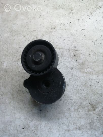 Opel Meriva B Generator/alternator belt tensioner ALSI9CU3