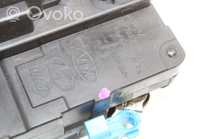 Hyundai i20 (PB PBT) Rear door lock 