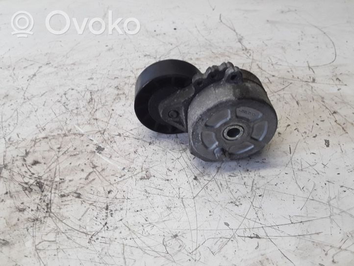 Volvo S40 Napinacz paska alternatora 