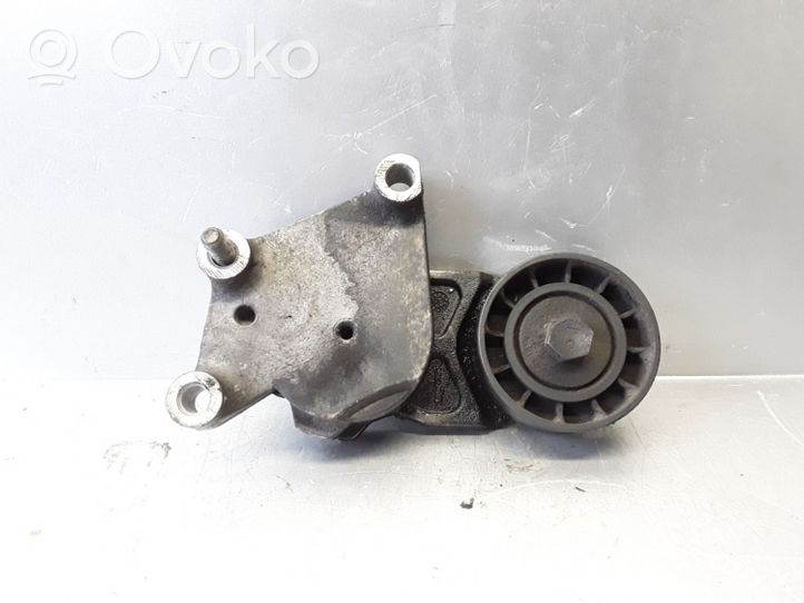 Volvo S40 Napinacz paska alternatora 419494