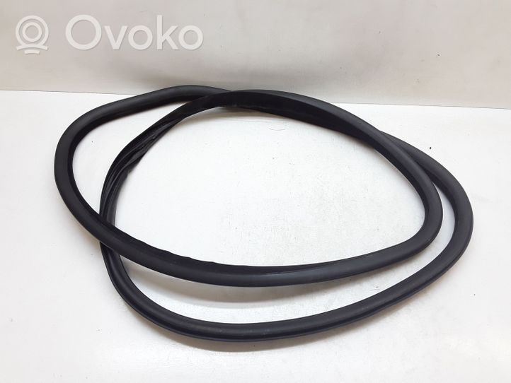 Volvo V70 Front door rubber seal 