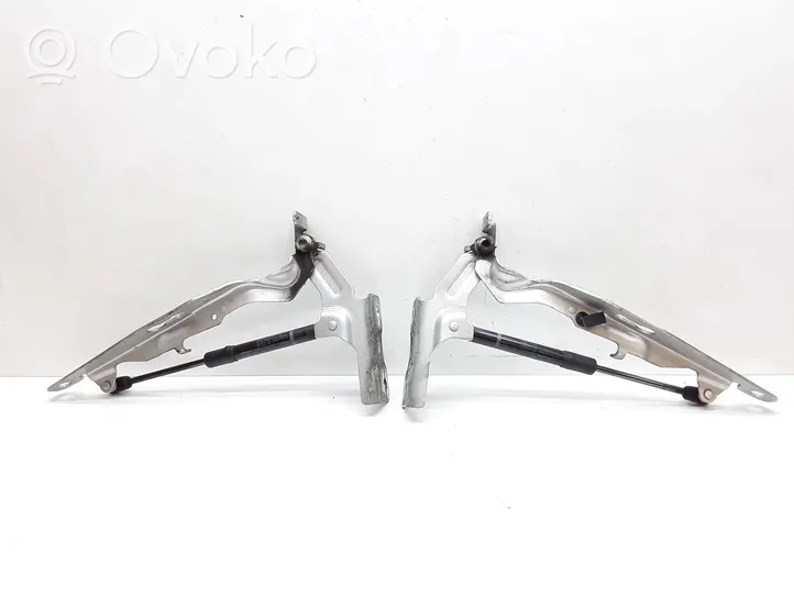 Volvo S60 Cerniere del vano motore/cofano 30799179