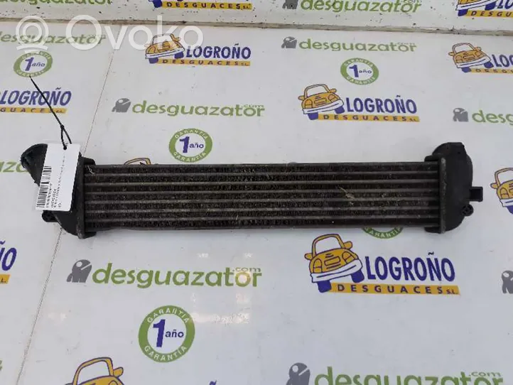 Renault Kangoo III Chłodnica powietrza doładowującego / Intercooler 8200221885