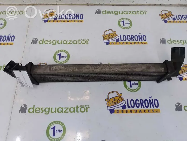 Renault Kangoo III Chłodnica powietrza doładowującego / Intercooler 8200221885