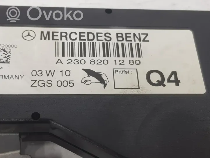 Mercedes-Benz SLK AMG R172 Antenna autoradio A2308201289