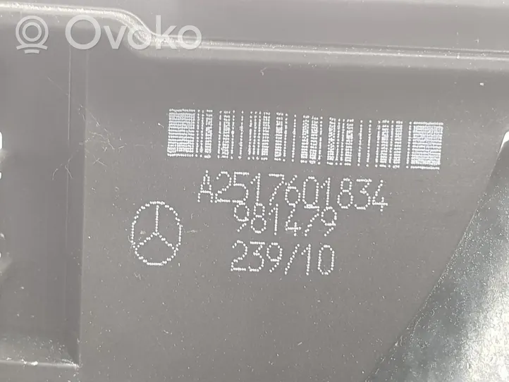 Mercedes-Benz R W251 Etuoven lukko A2517000435